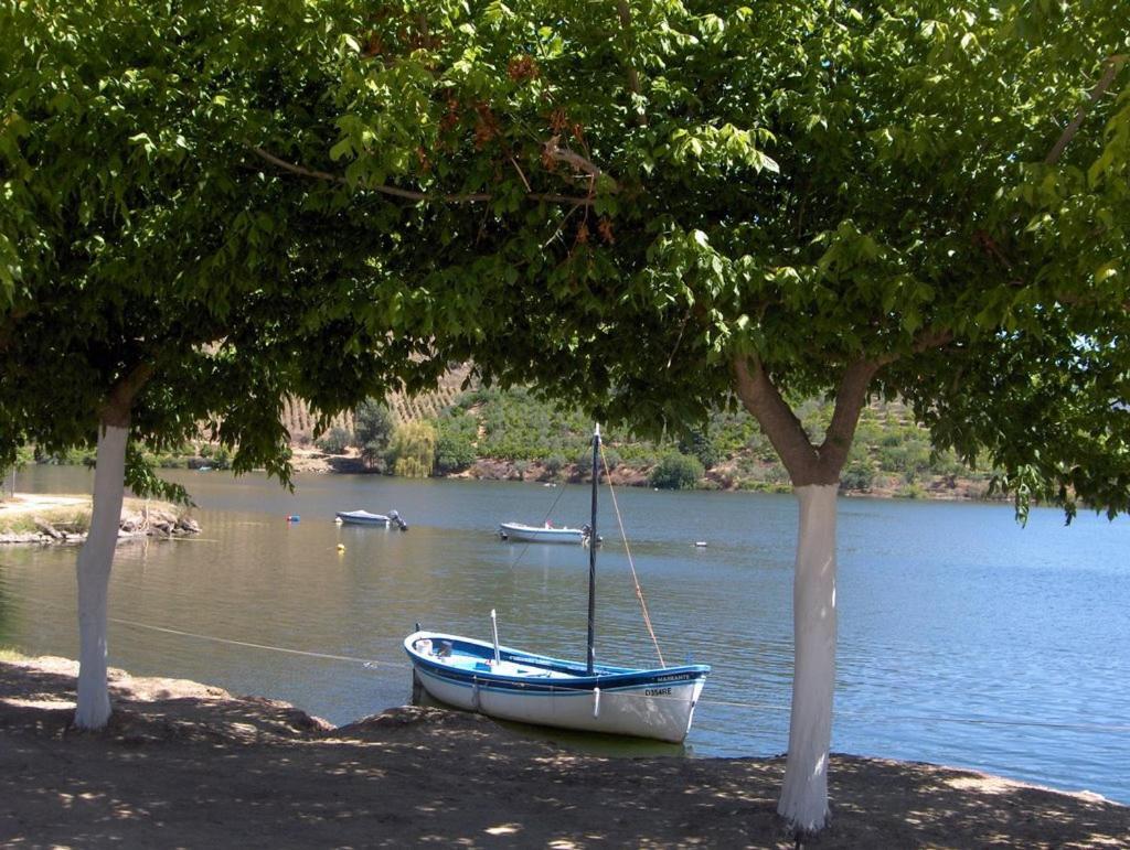 Vila Moradias Do Douro Internacional Freixo de Espada à Cinta Exteriér fotografie