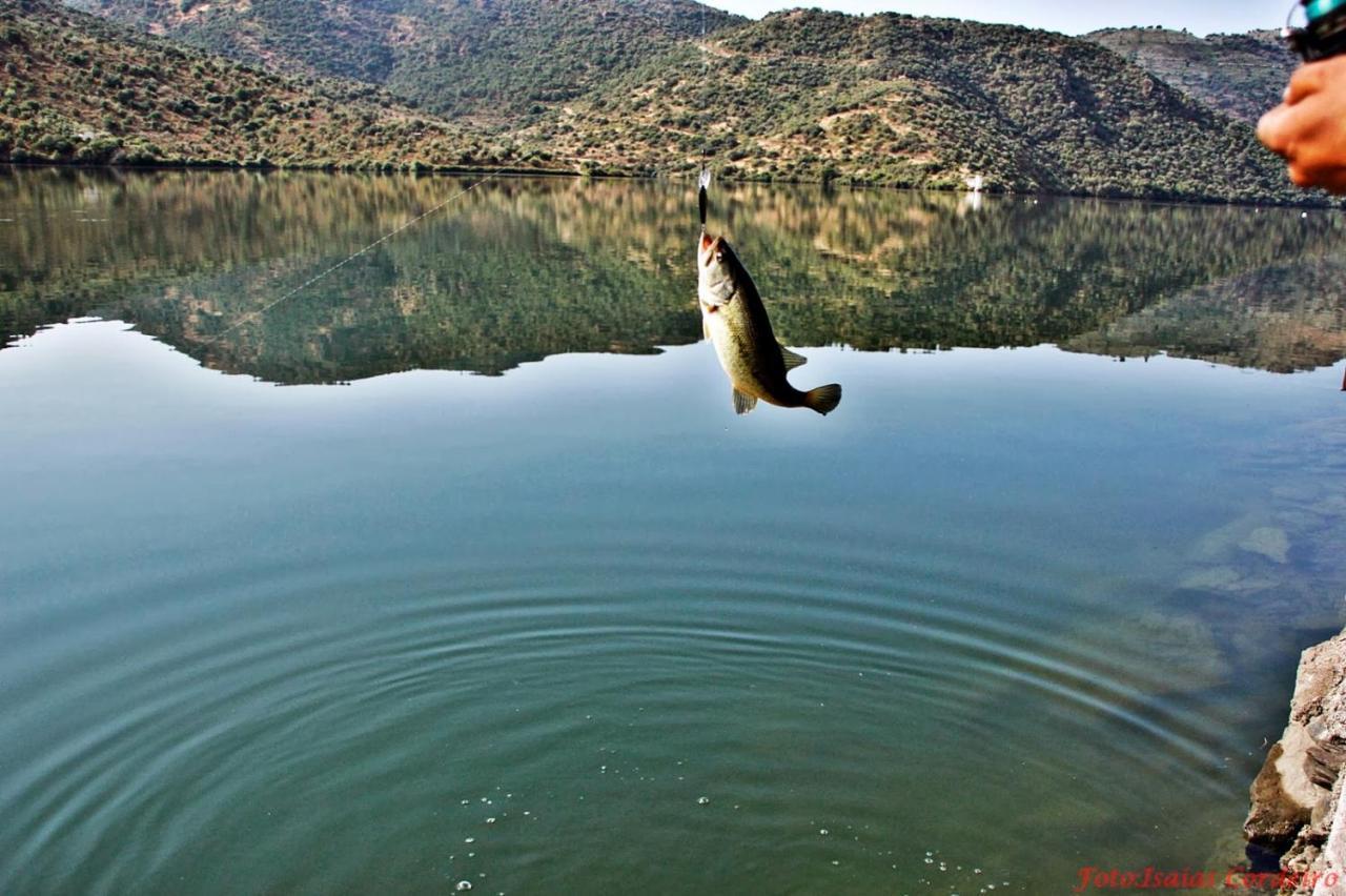 Vila Moradias Do Douro Internacional Freixo de Espada à Cinta Exteriér fotografie