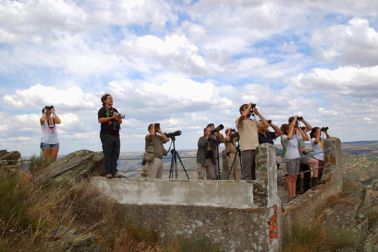 Vila Moradias Do Douro Internacional Freixo de Espada à Cinta Exteriér fotografie