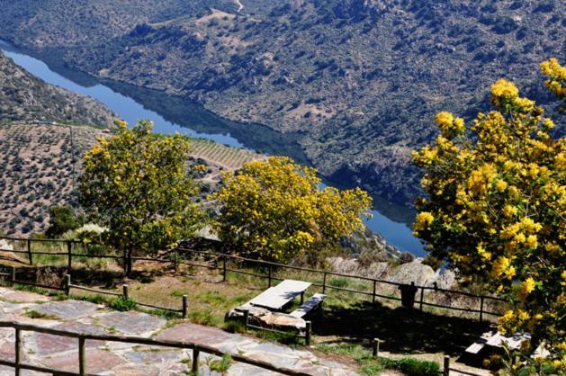 Vila Moradias Do Douro Internacional Freixo de Espada à Cinta Exteriér fotografie